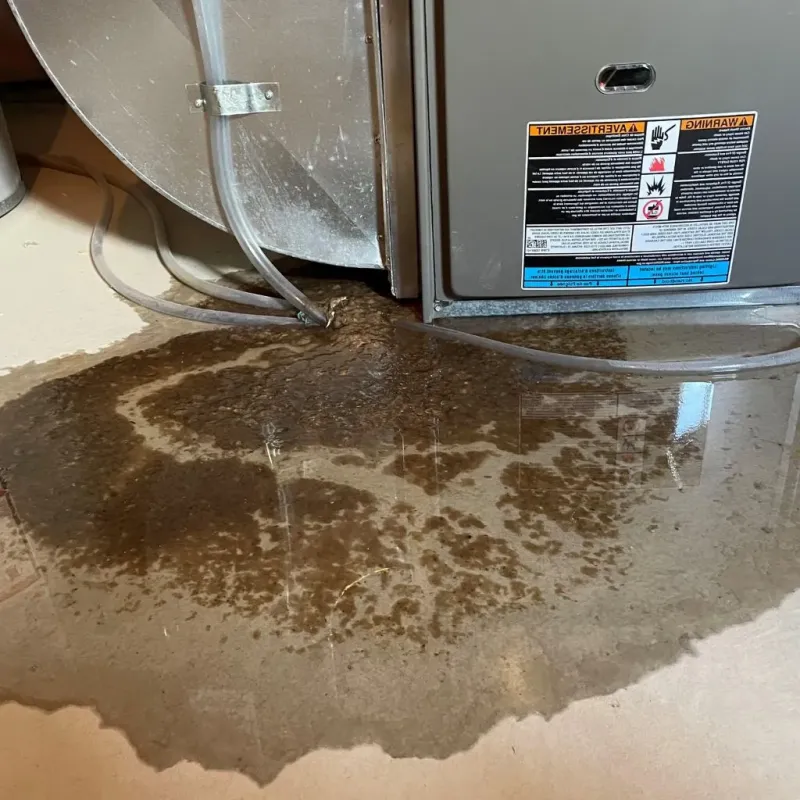 Pipe Burst and Leak Restoration in Great Falls, VA